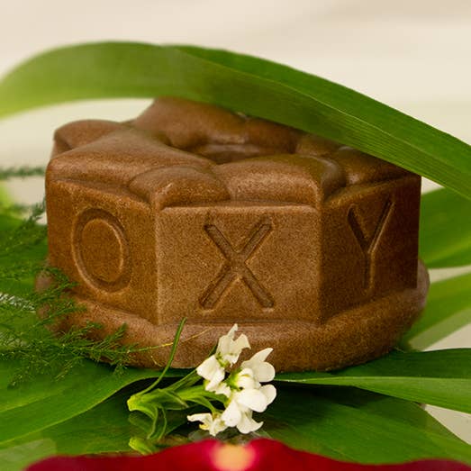 Champú sólido para cabello castaño, Fragancia de naranja y cacao para venta al por mayor de OXy Cosmétiques