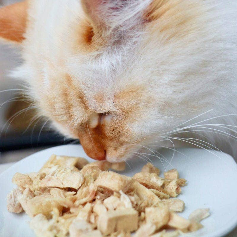 Leo's Paw - Vente Friandises – chat - Friandises de poulet lyophilisé pour chat6