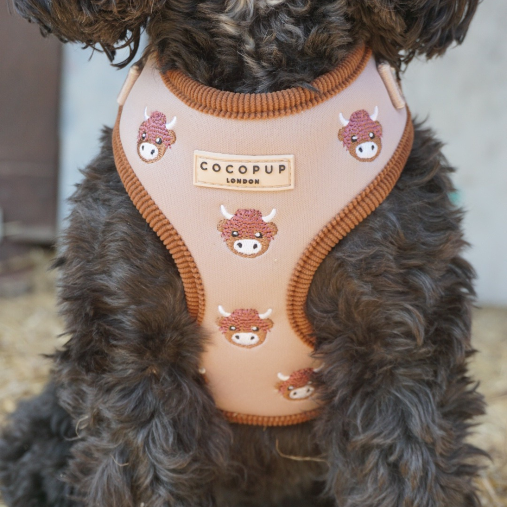 Cocopup London - Wholesale Pet Harness - Dog - Harold the Highland Cow Adjustable Neck HARNESS6