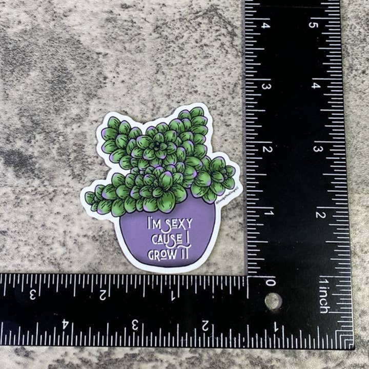 Beautiful Mind Design - Wholesale Sticker - I'm Sexy Cause I Grow It Vinyl Sticker 5-Pack2