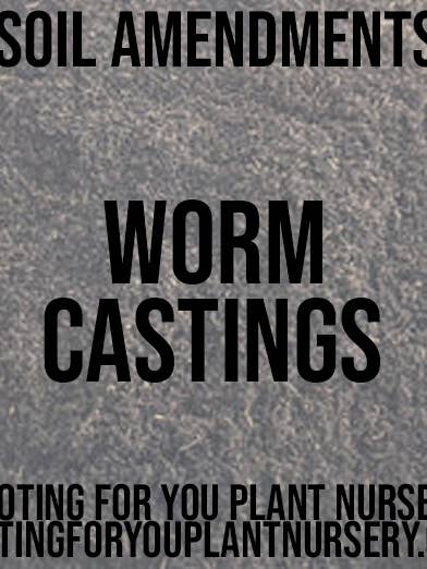 Emendas de Solo com Húmus de Minhoca Orgânico em Sacos Reseleáveis por atacado de Rooting For You Plant Nursery