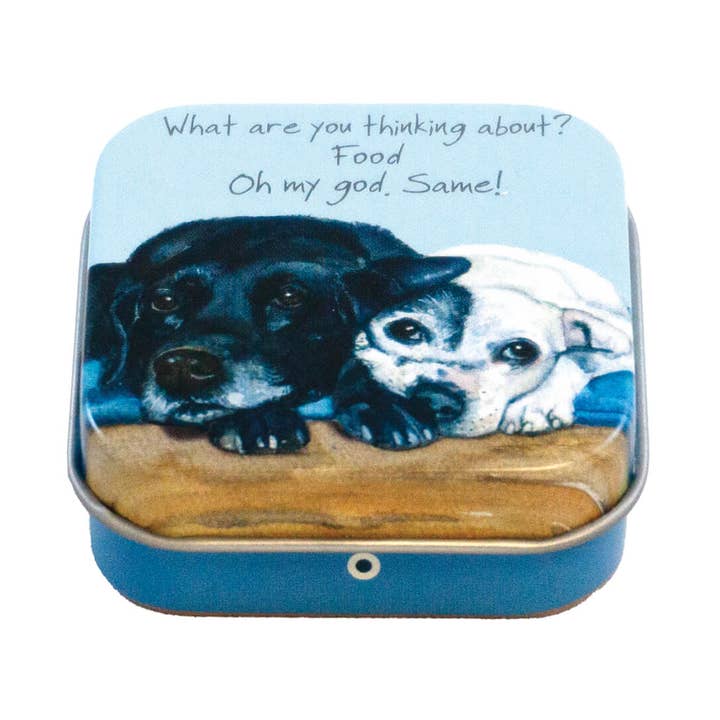 Black Labrador Mini Tin for wholesale by The Little Dog Laughed