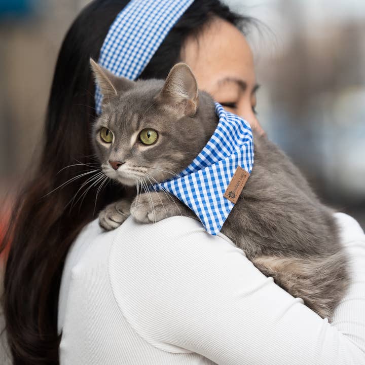 Pawsbury Lane - Wholesale Pet Bandana - Dog - Matching Dog and Owner : Headband and Bandana - Blue Gingham
