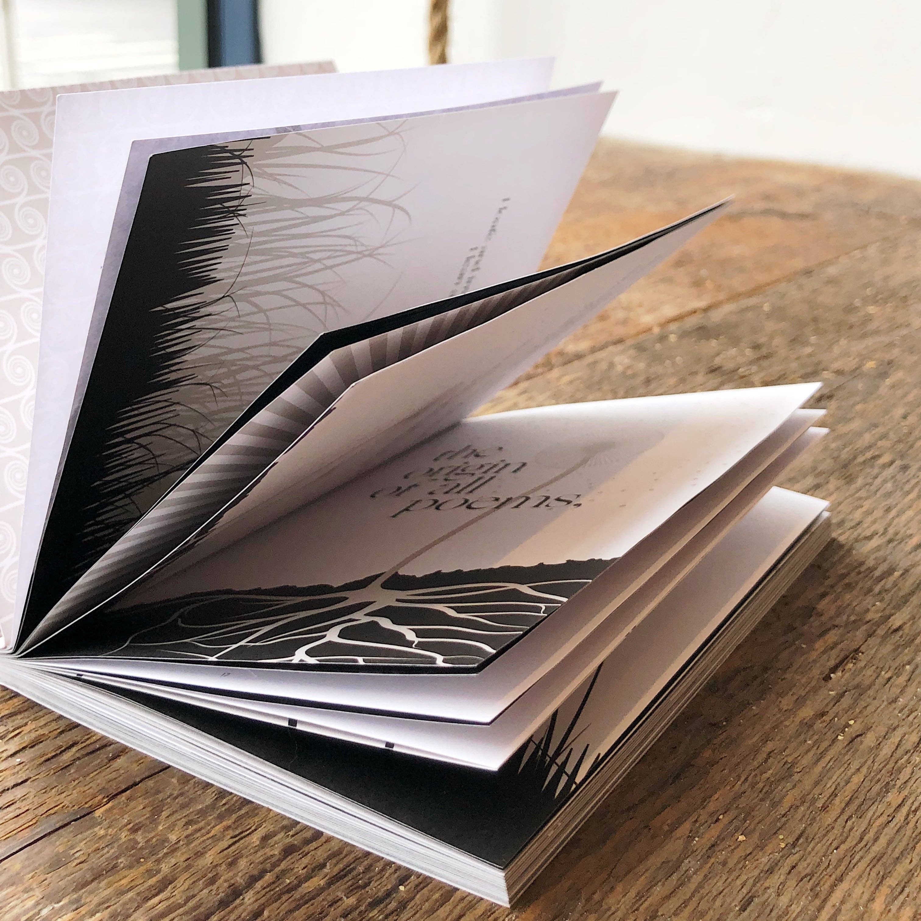 Obvious State - Wholesale Poetry & Drama - Song of Myself by Walt Whitman, Illustrated 4