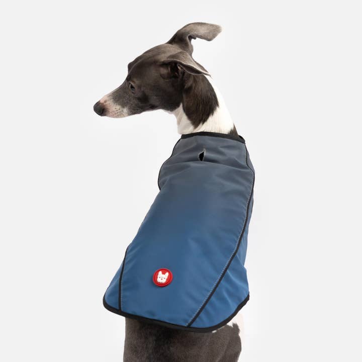 Silver Paw - Vendita all'ingrosso Gilet - Cani - Gilet per cani ad alta visibilità ARLO idrorepellente