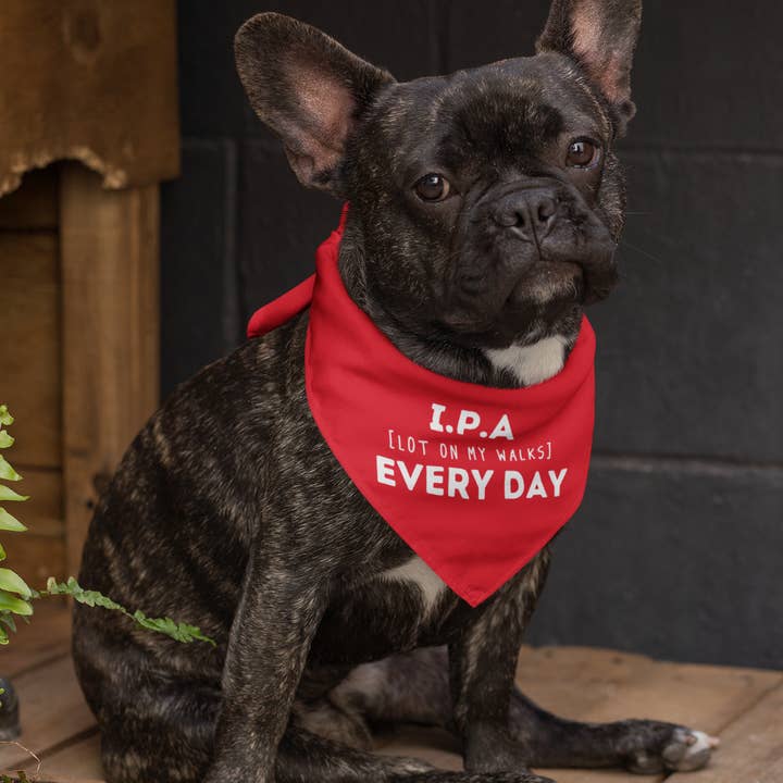 I.P.A (Lot On My Walks) Everyday Beer Themed Dog Bandana for wholesale by Craft Beer Pet Gear