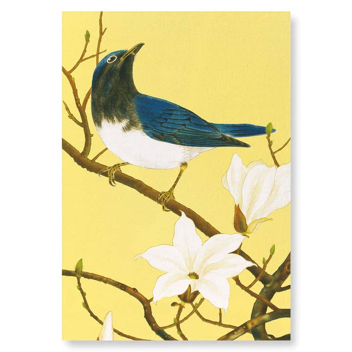 PIGLIAMOSCHE BLU E BIANCO E MAGNOLIA (1930 CIRCA) per la vendita all'ingrosso da parte di Ezen Trade