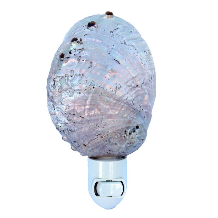 California Seashell Company - Wholesale Night Light - Pearl Abalone Seashell Night Light