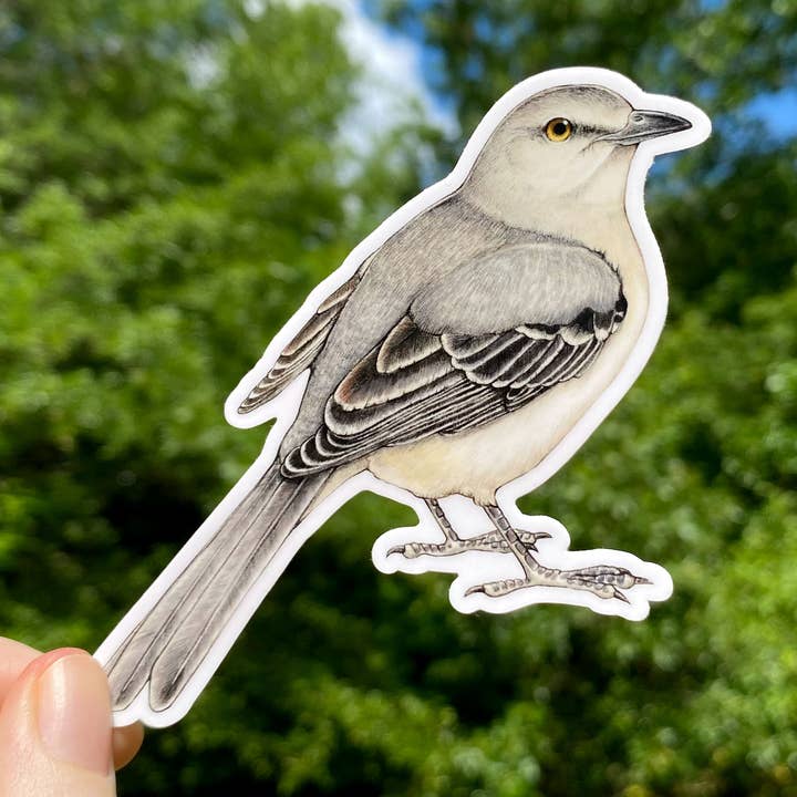 Northern Mockingbird Weatherproof Vinyl Sticker for wholesale by Allison Stoiser Art