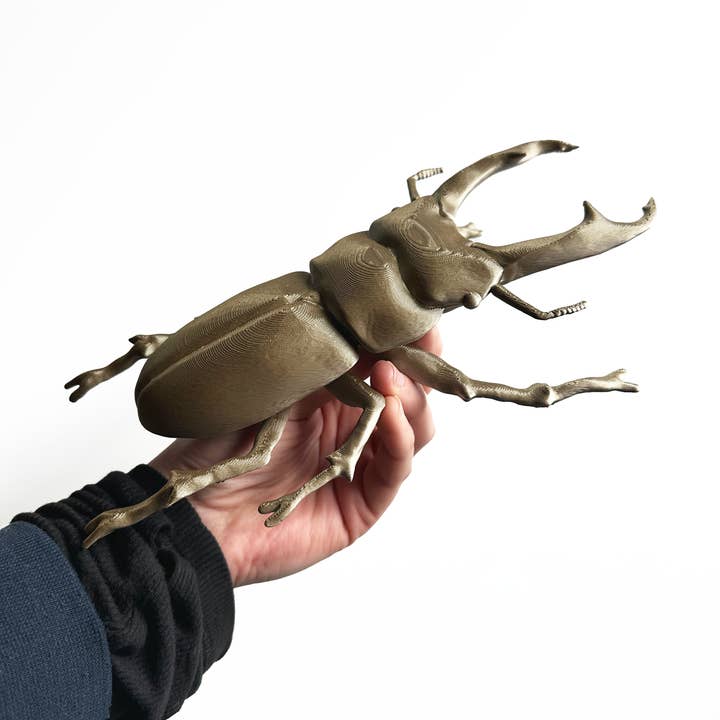 CSAcreative - Wholesale Wall Decor - Kids & Baby - Giant Beetles