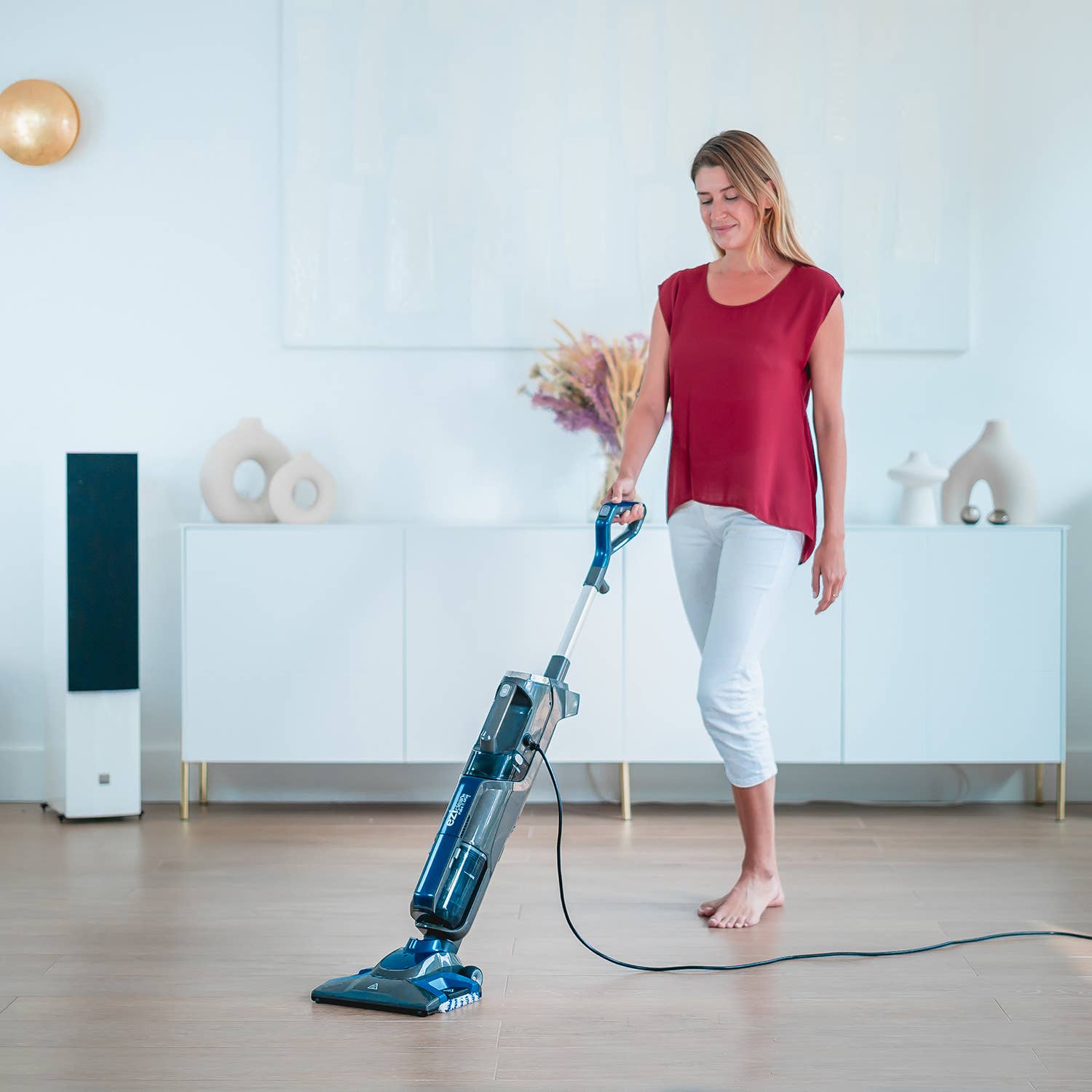 Eziclean – wholesale Dammsugare – EziClean® Cyclosteam P310 multifunktions ångdammsugare1