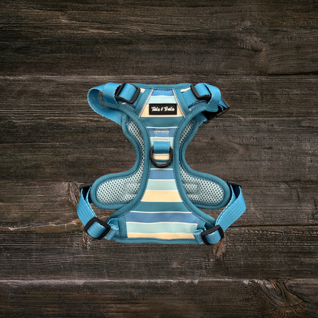 Tails and Trails – Engroshandel Kæledyrssele – Hund – Tide Break Adventure Sele1