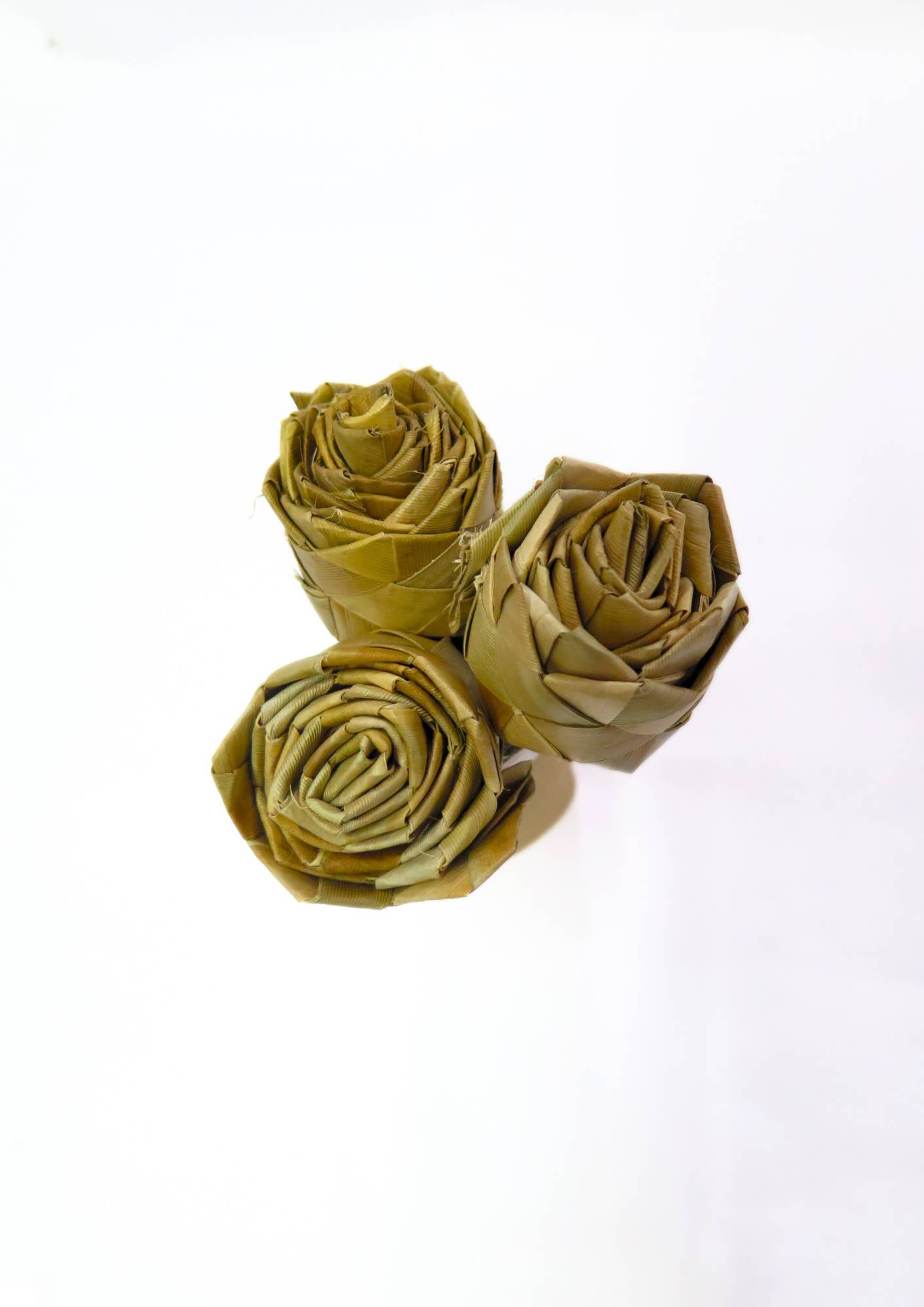 No Furries Delights - Wholesale Pet toy – Not cat/dog - BULK 1.5" Palm Rose