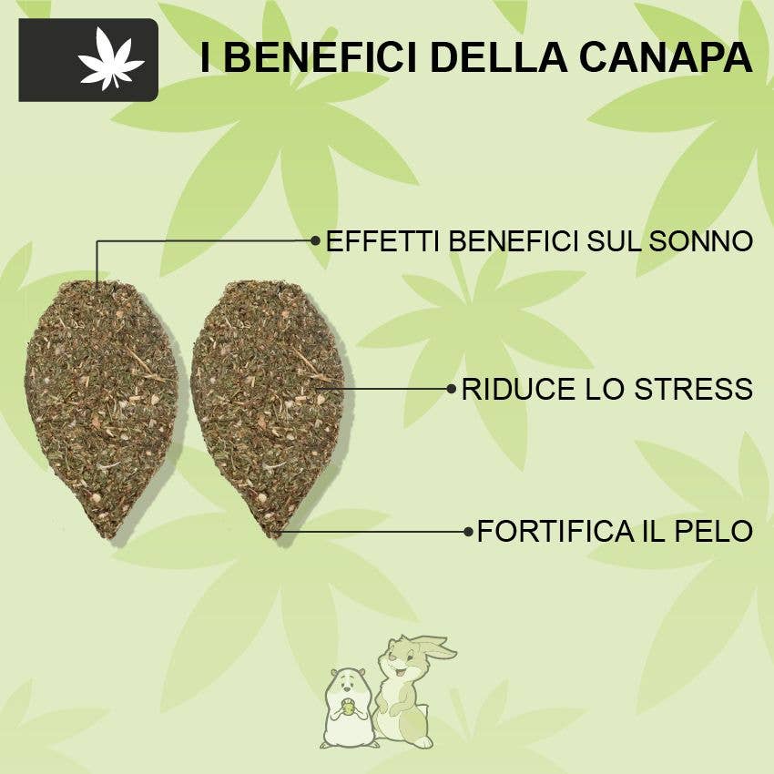 Croci S.p.A. - Wholesale Pet Food - Not Cat/Dog - Snack food for rabbits and rodents with hemp - Woodchuck7