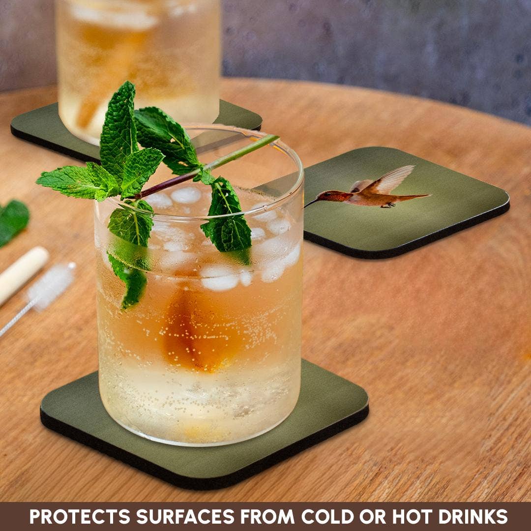 3dRose – wholesale Coasters – 3dRose, Rufous hummingbird, Selasphorus rufus. , Coaster9