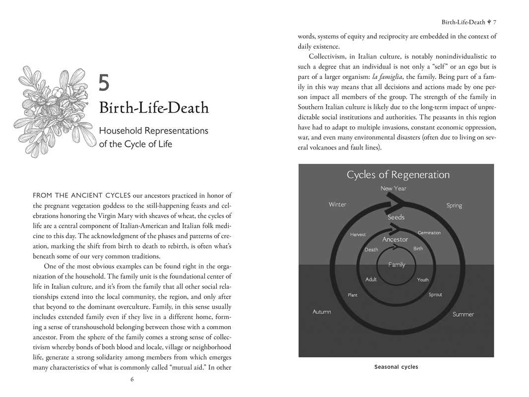 Simon & Schuster - Wholesale Medical Health - Della Medicina by Lisa Fazio3