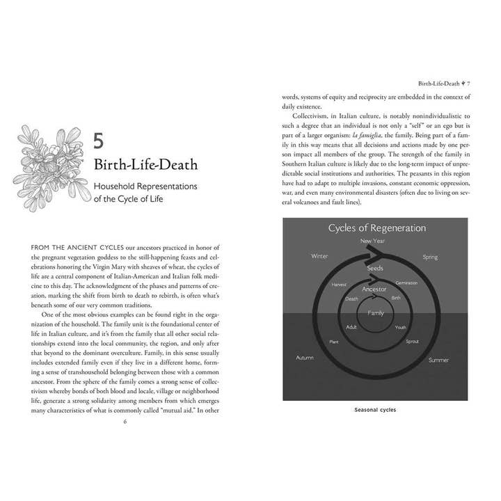 Simon & Schuster - Wholesale Medical Health - Della Medicina by Lisa Fazio3