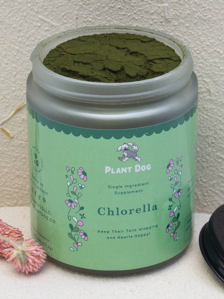 Chlorellapulver tilskud – naturlig styrkelse af immunforsvaret og antioxidant for engroshandel hos Plant Dog LLC
