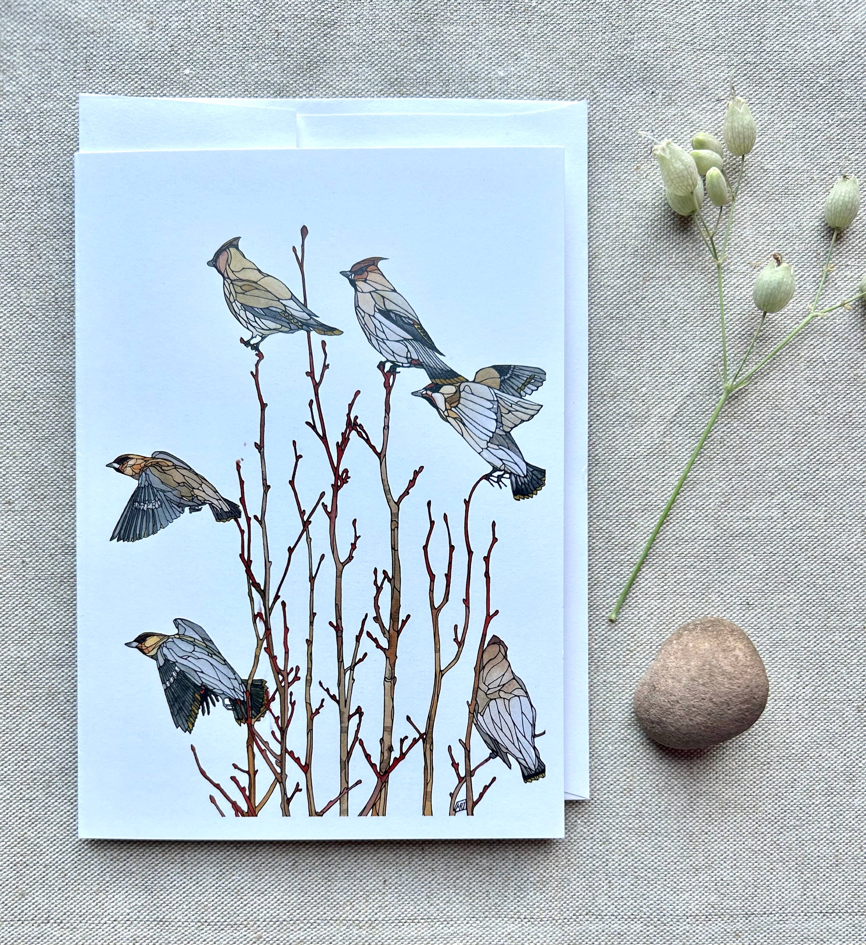 Mattie Rose Art - Wholesale Everyday Greeting Card - Waxwing card1