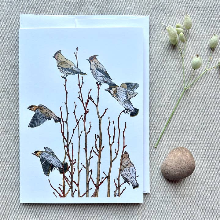 Mattie Rose Art - Wholesale Everyday Greeting Card - Waxwing card1