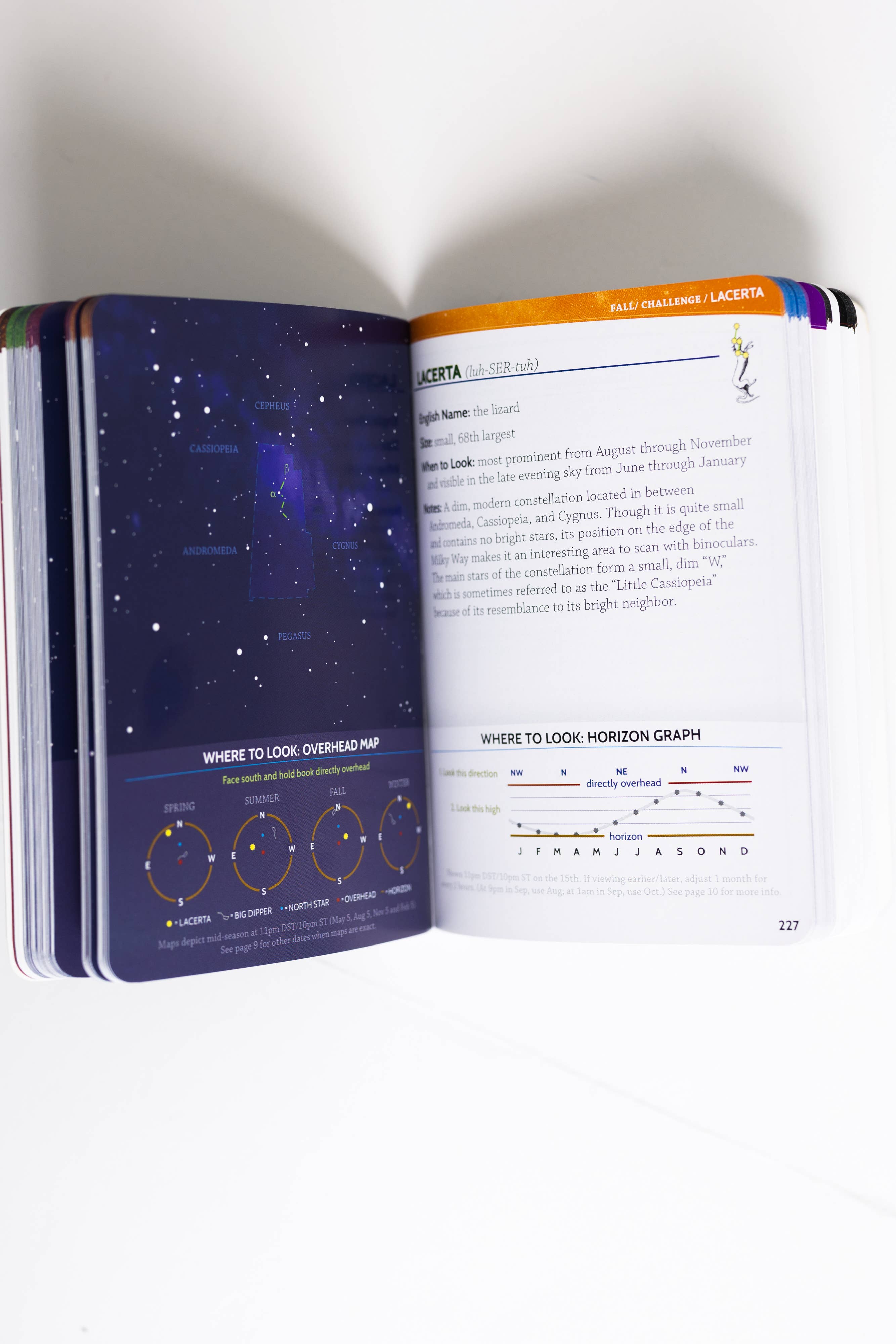 AdventureKEEN - Wholesale Nature & Outdoors - Night Sky Field Guide3