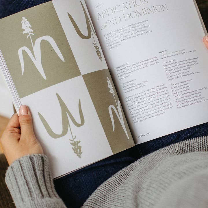 She Reads Truth - Wholesale Religion Book - Everything New Women's Reading Guide3