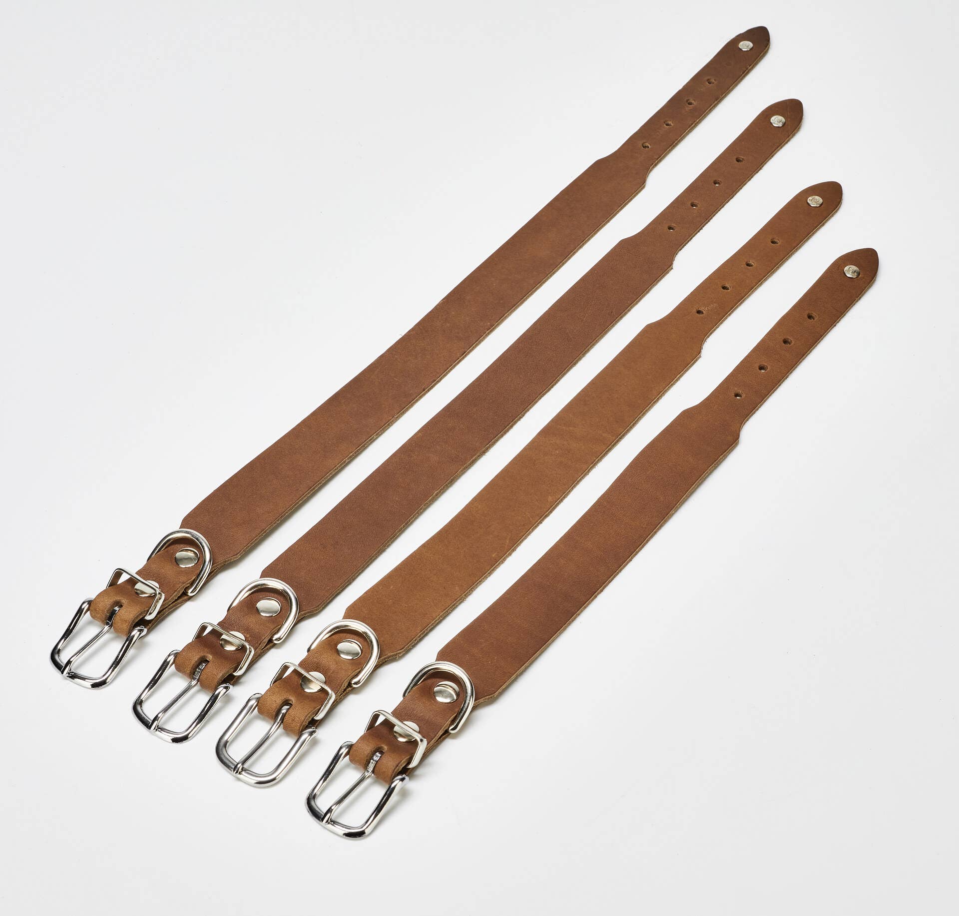 LABONI - Volentis GmbH - Vente Collier – chien - Collier pour chien GIRO en cuir souple à prise ferme2