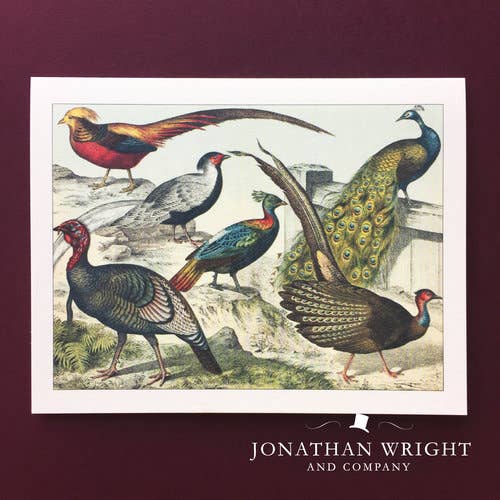 Brilliant Birds, biglietto d'auguri per la vendita all'ingrosso da parte di Jonathan Wright and Company