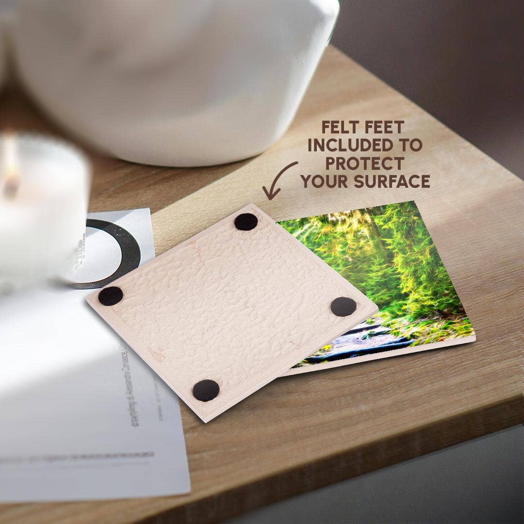 3dRose - Vente Sous-verre - 3dRose, Image de peinture infusée de lumière d'un chemin bordé de pins luxuriants, Sous-verre3