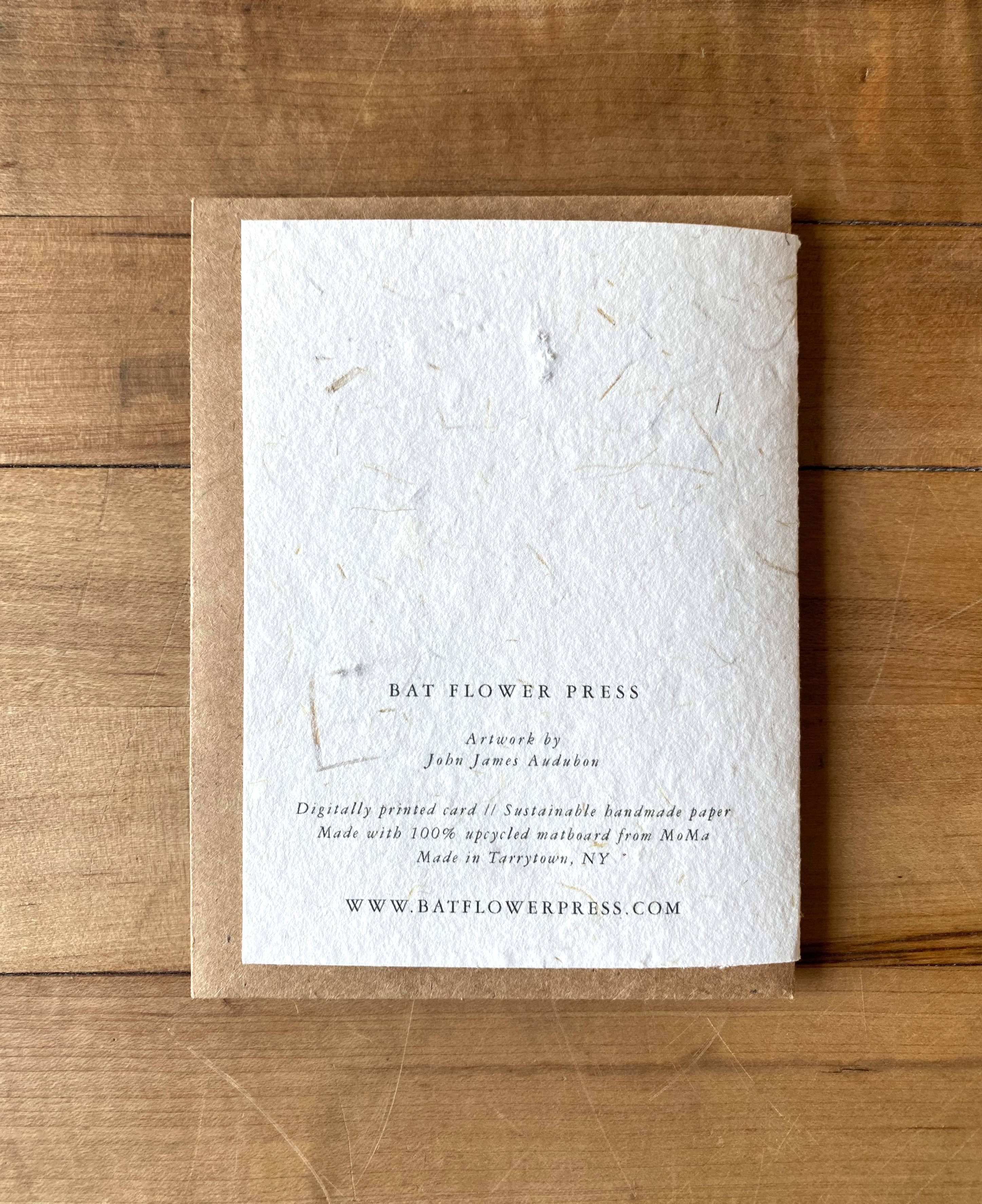 Bat Flower Press - Wholesale Everyday Greeting Card - Columbian Hummingbirds handmade card1