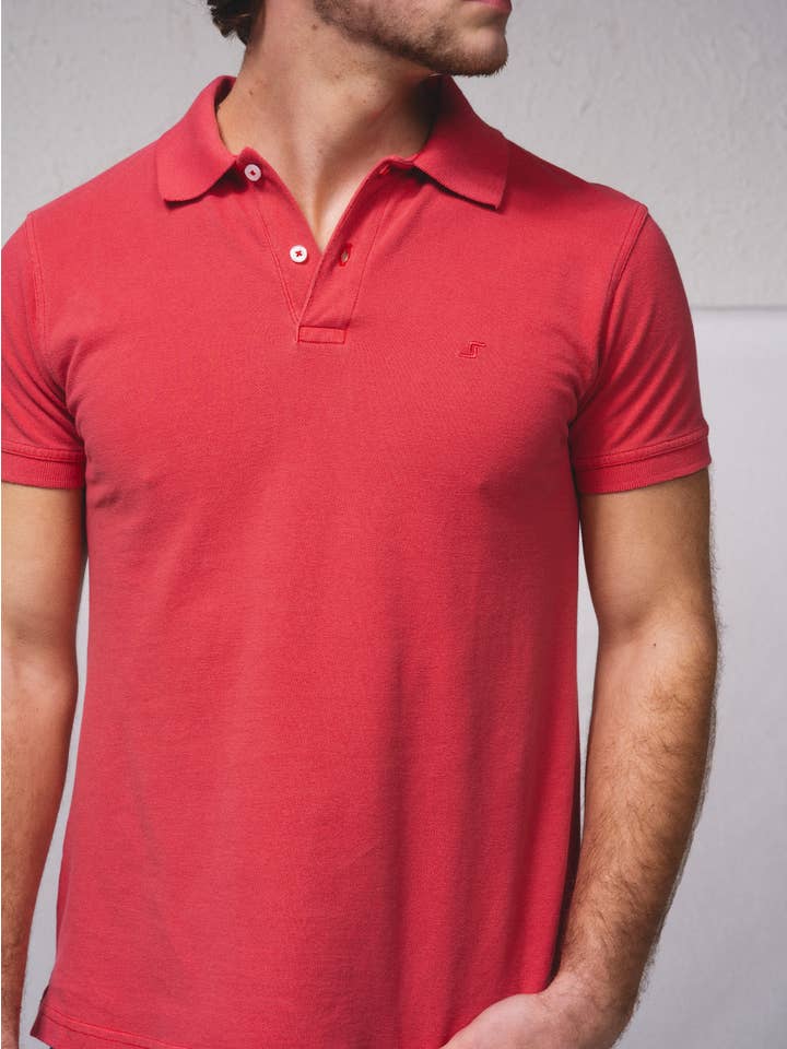 SMF - Wholesale Polo - Men's - 238554 - Embroided pike polo with pigmitation14