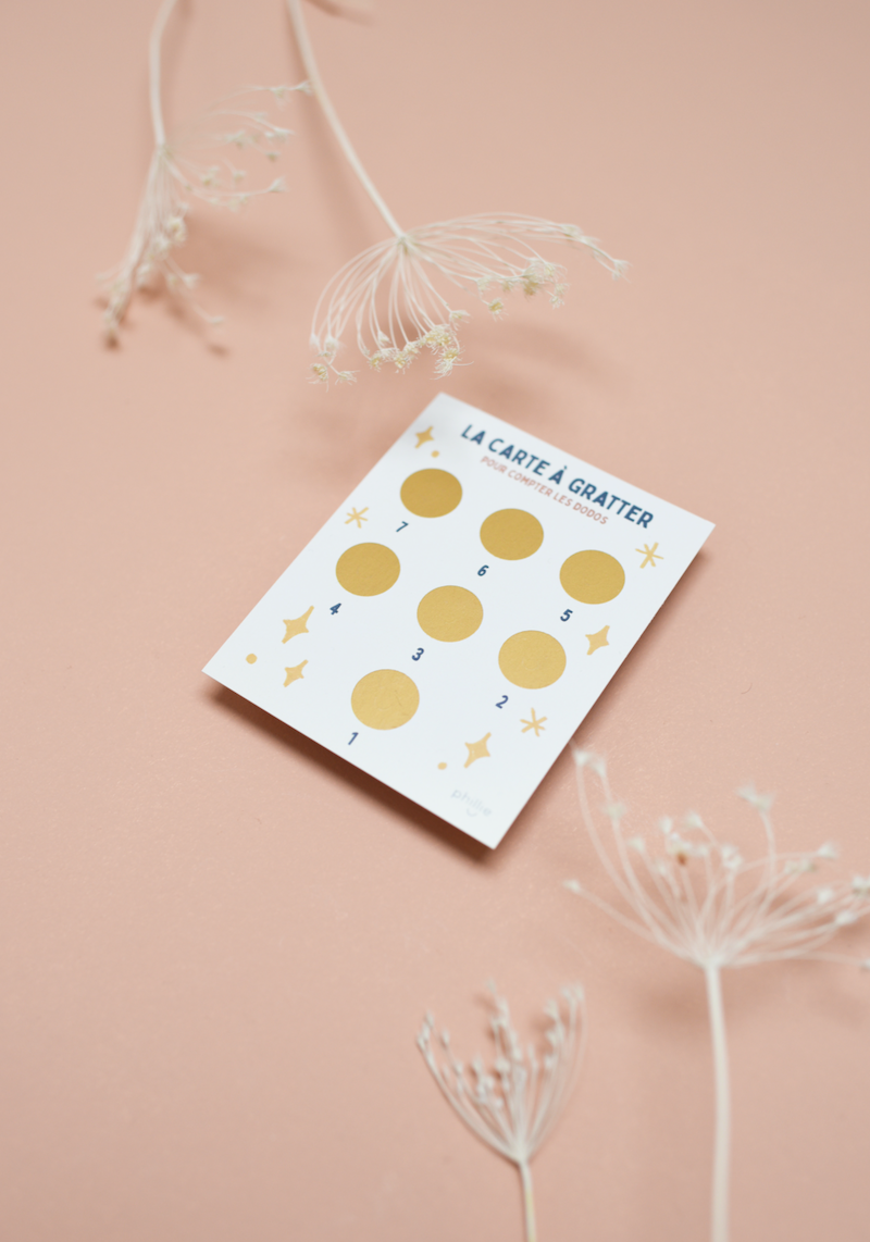 Phillie - Wholesale Learning Cards - Kids & Baby - Anti-cockroach scratch card3