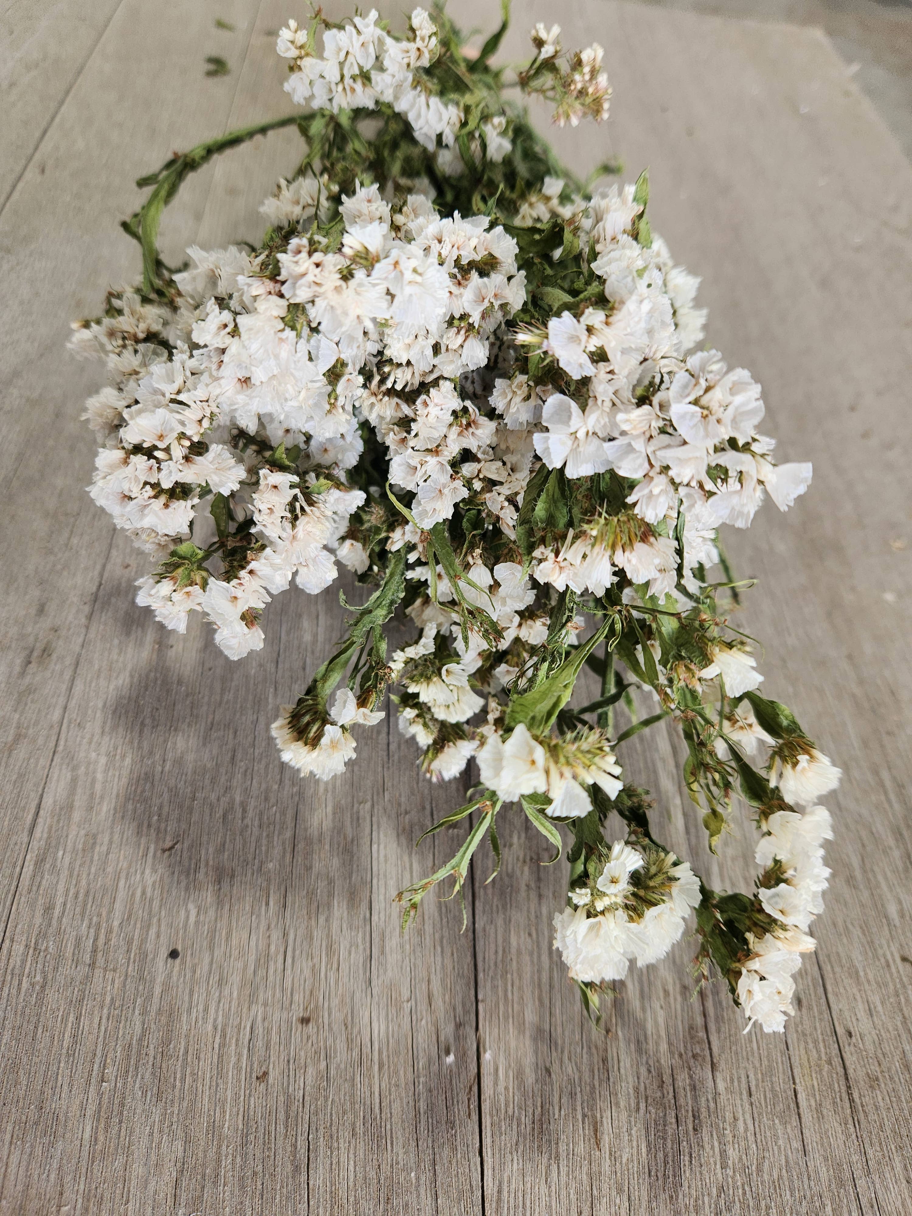 Alissas Flower Farm - Wholesale Dried/Pressed Flowers - Dried Statice3