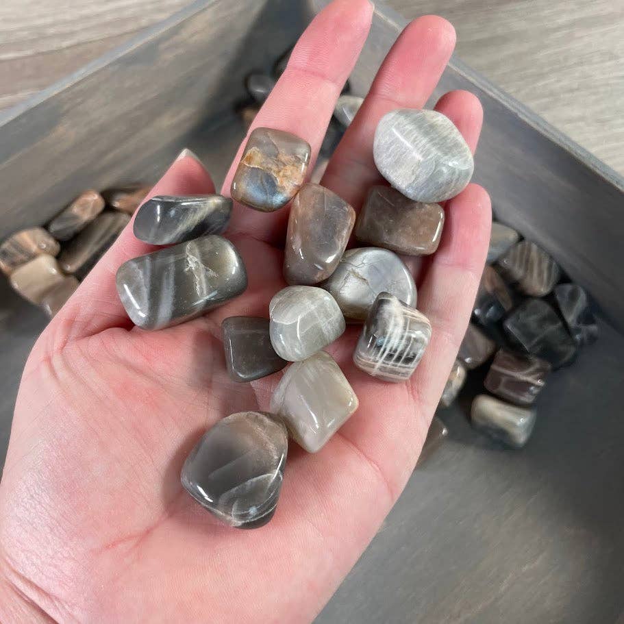 Keystone Crystals - Wholesale Spiritual Stone/Crystal - Black Moonstone Tumbled Stones – 1 lb Wholesale Lot3