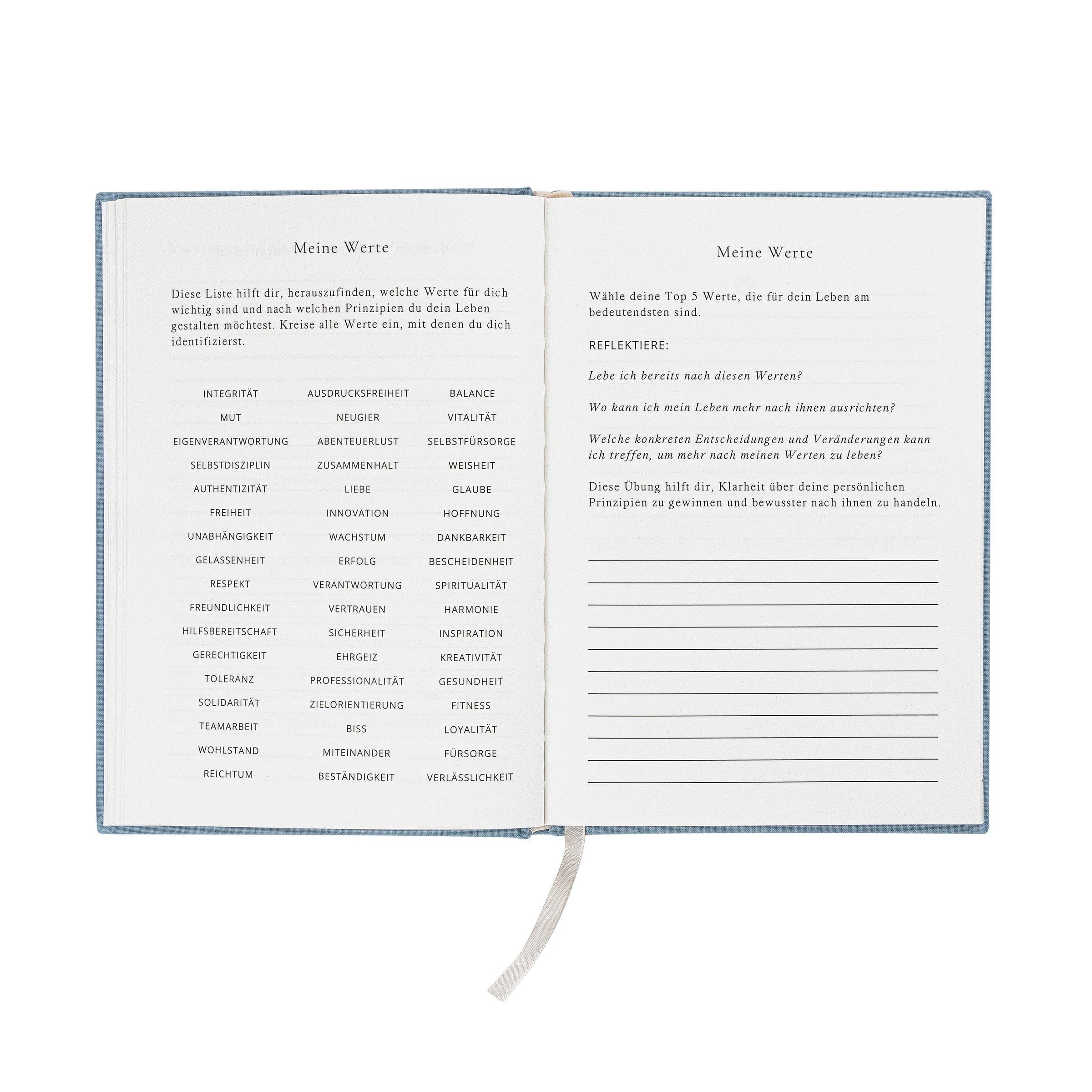 The Life Barn - Wholesale Journal Cover - THE LIFE BARN Abundance Journal light blue10