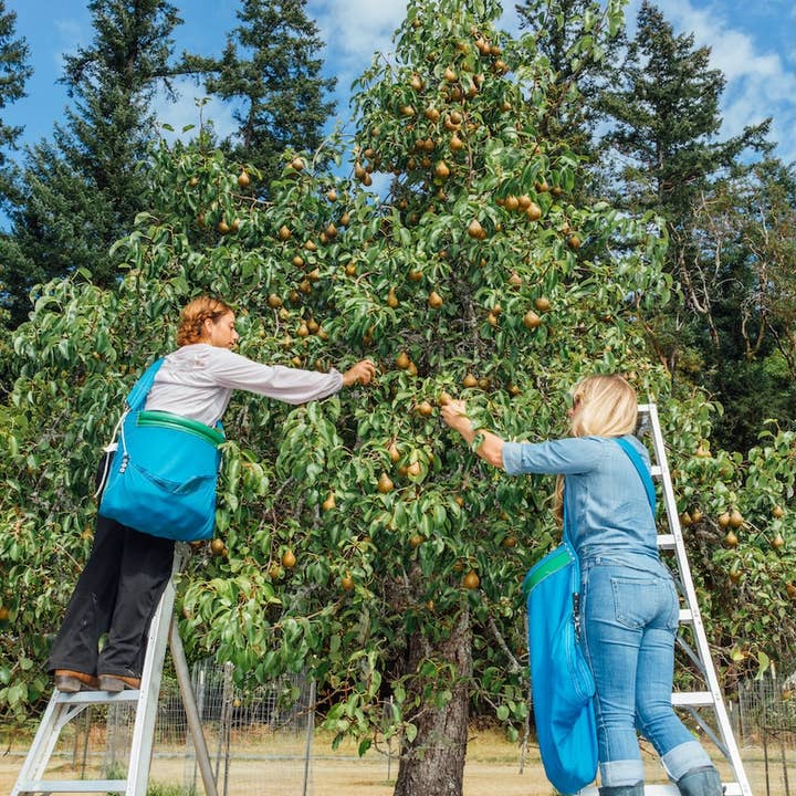 Girl Meets Dirt - Wholesale Preserves - Orange Peppered Pear Spoon Preserves 7.75oz2