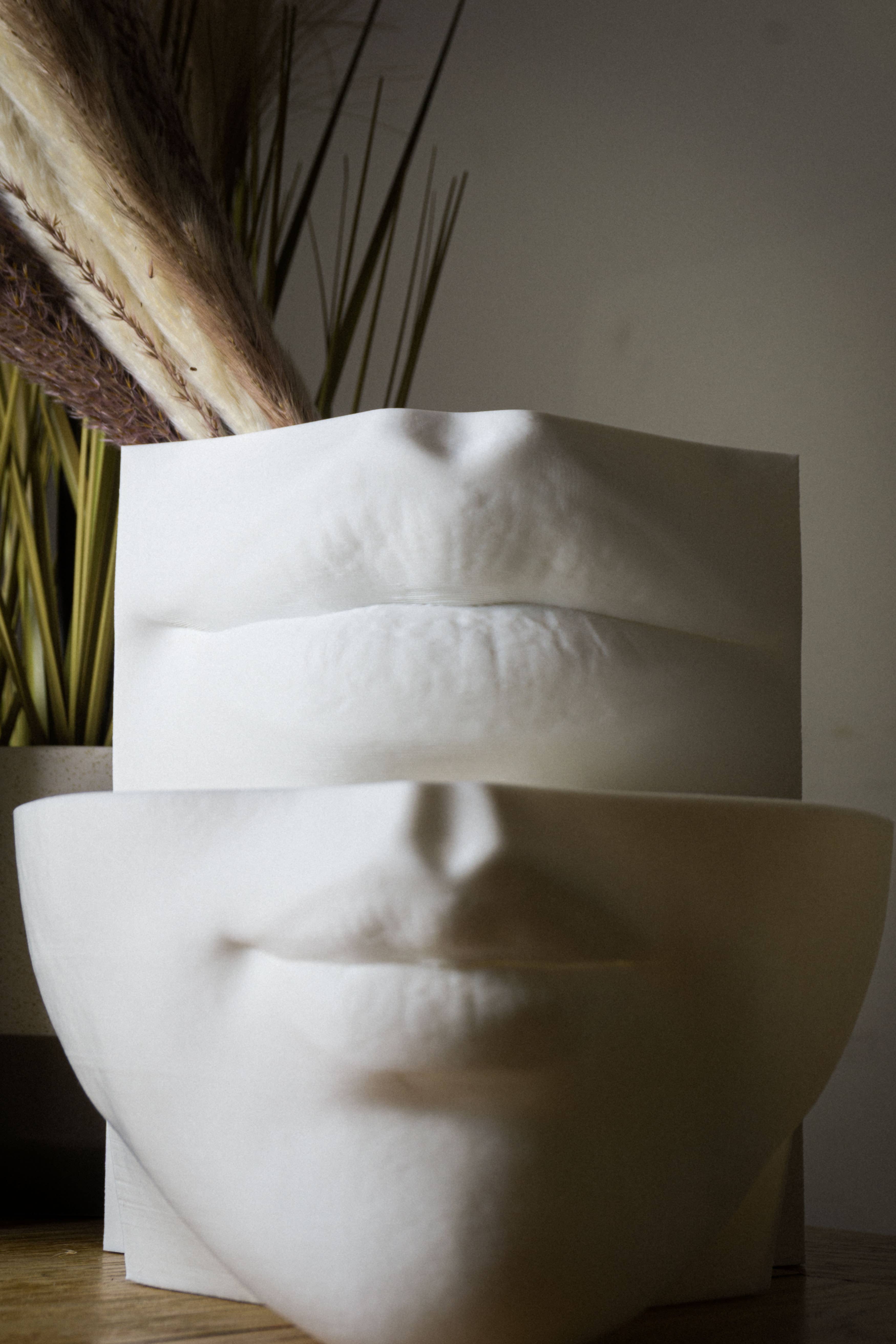 alterly – wholesale Kruka – Läppar Planter, Kvinna ansikte Växt Kruka - 3D Tryckt PLA, vit8