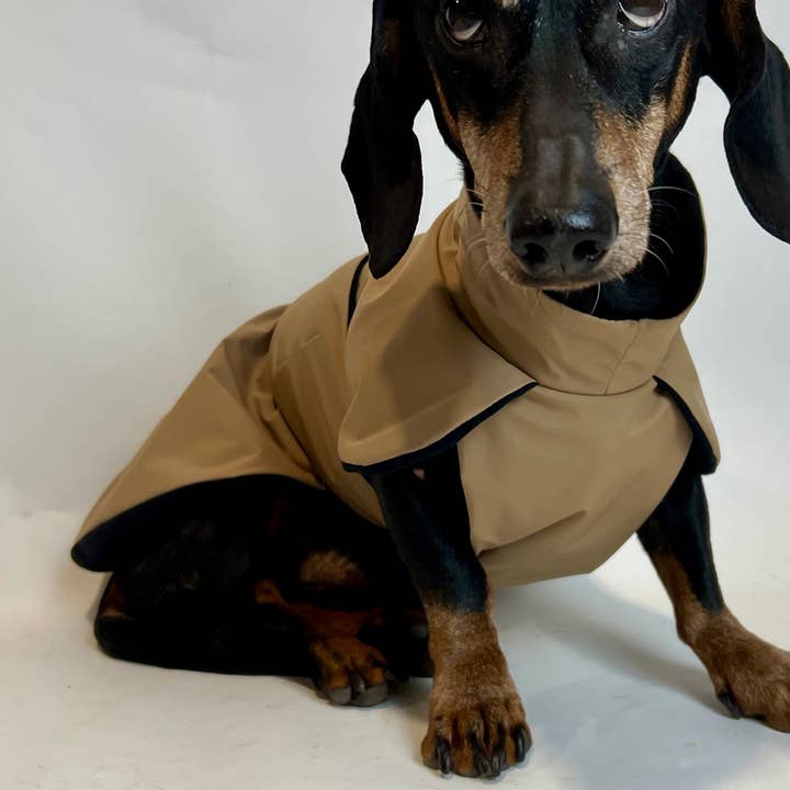Beige Parka with Black Fleece Lining für den Großhandel von Dachshund Couture