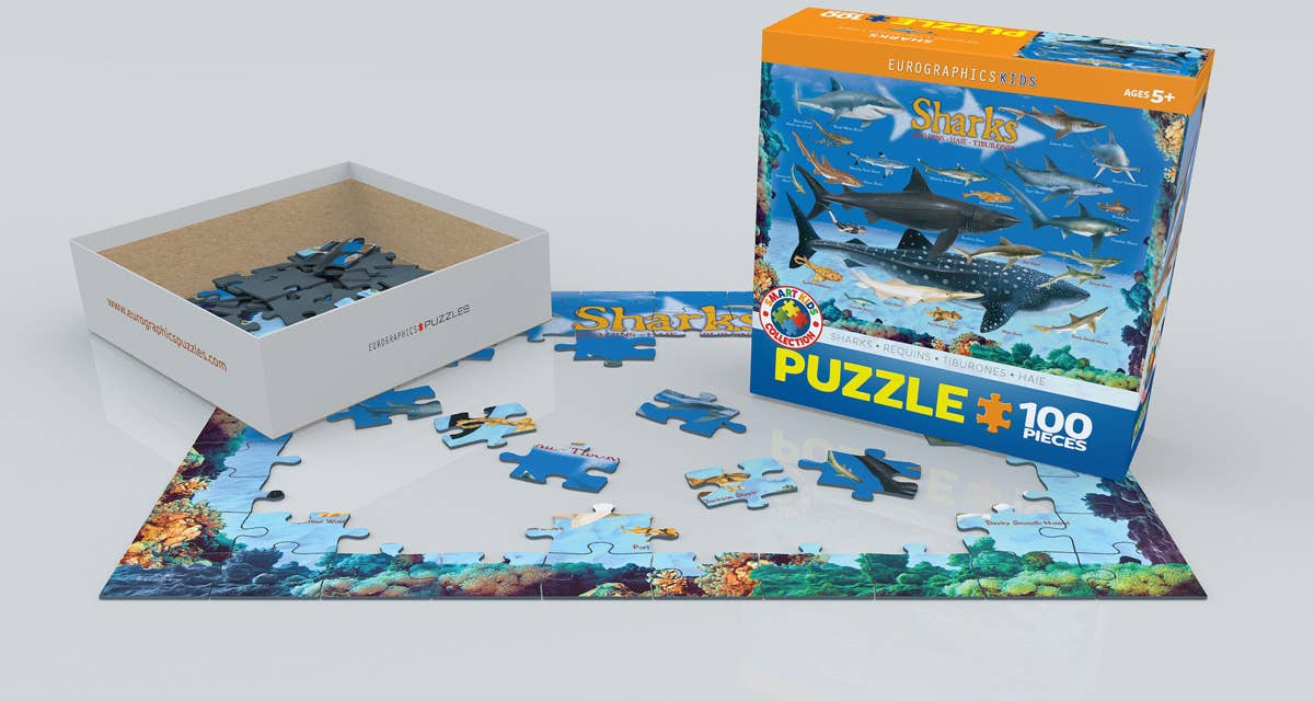 Eurographics Puzzles Europe - Vente Puzzle – enfant - Requins2
