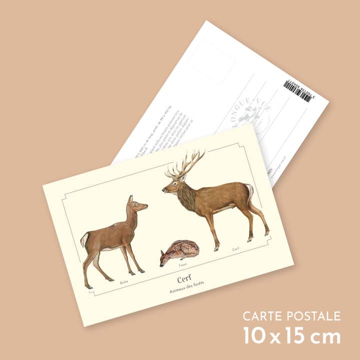 Deer - Postcard for wholesale by Longue-vue