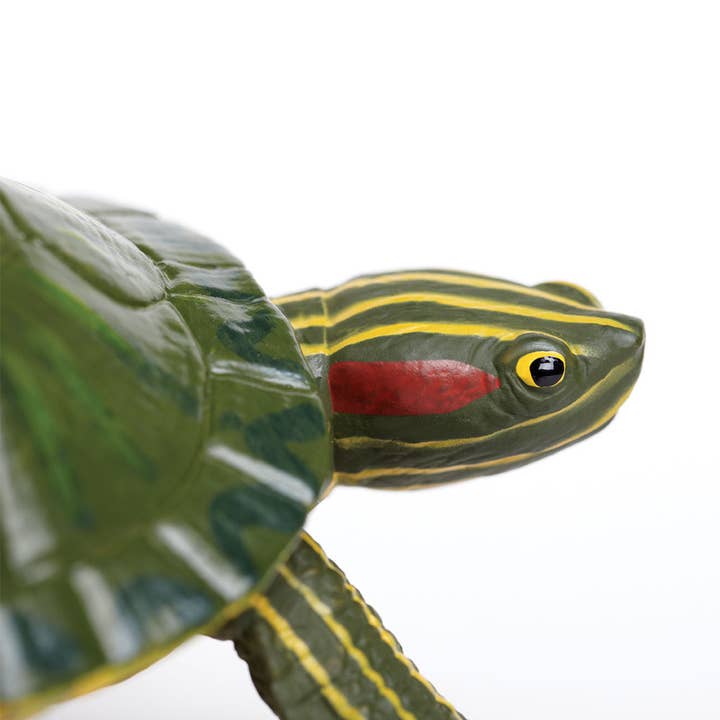 Safari Ltd. - Wholesale Figurine Toy - Kids - Red - Eared Slider Turtle - 2695292