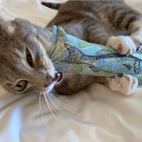 Dr. Pussums Catnip - Vente Jouet – chat - Jouet pour chat Fish Nip Catnip Kicker2