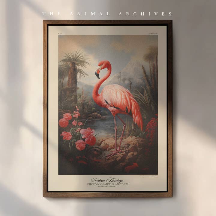 Pink Flamingo Naturalist, Antique Vintage Style Print for wholesale by The Poet and The Piper