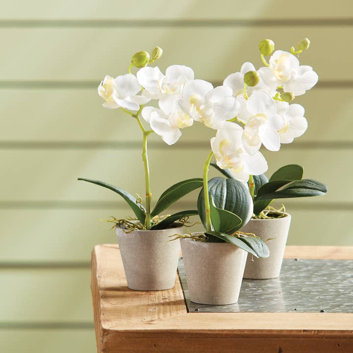 Napa Home & Garden - Wholesale Artificial Flowers - Mini Phalaenopsis 9" Potted, Set Of 121