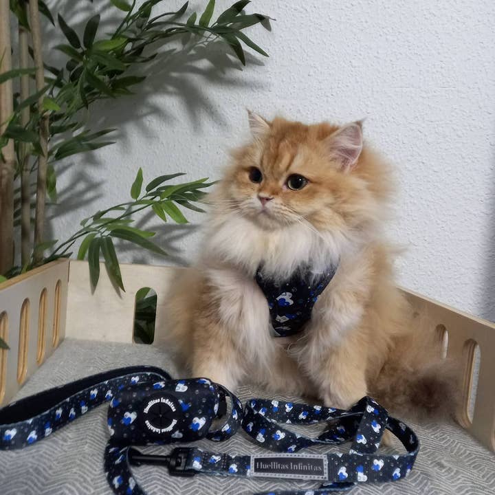 HUELLITAS INFINITAS - Wholesale Tuig voor huisdieren - Hond - Fantasy Hearts verstelbaar harnas10