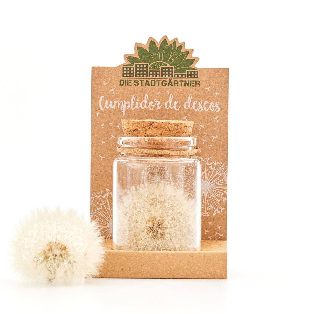 TDJ Stadtgärtner GmbH - Wholesale Party Favor - Wish fulfiller (DE, ES, FR, EN)12