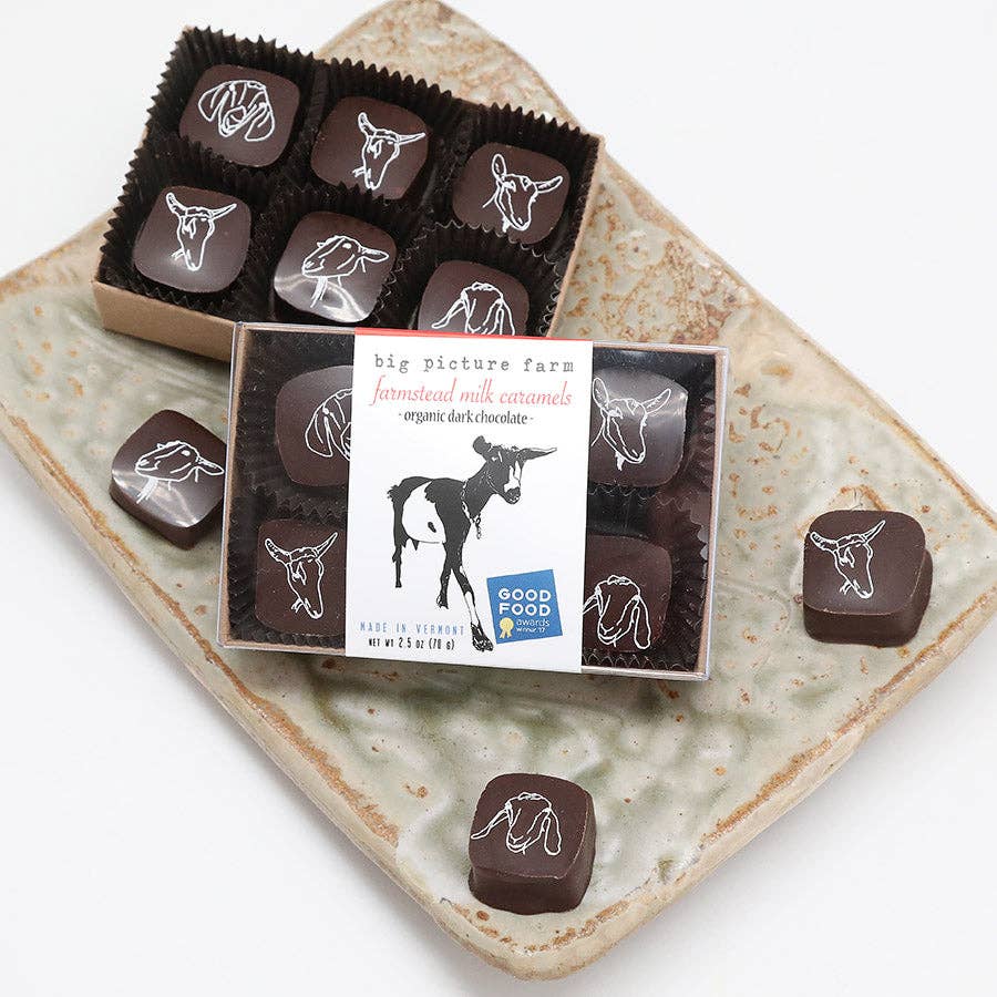 Big Picture Farm - Wholesale Chocolate Covered Sweets - Chocolate Covered Goat Milk Caramel0