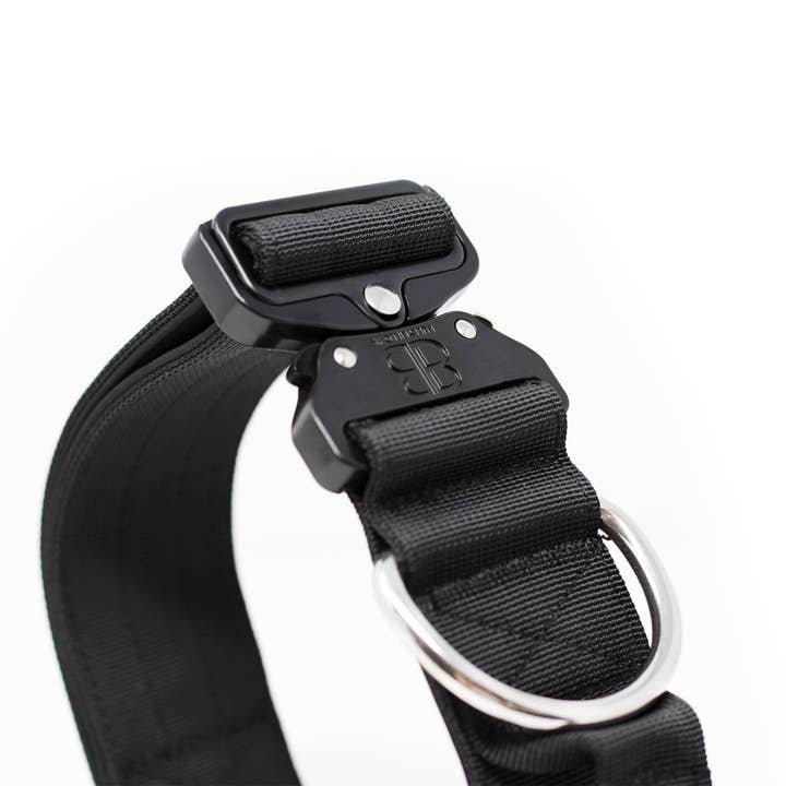 BullyBillows Ltd - Vente Collier – chien - Collier pour chien Combat™ 5 cm - Noir v2.0