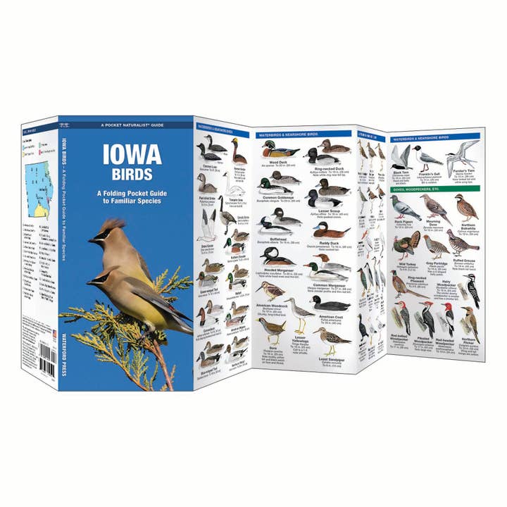 REMOVED BRAND - Wholesale Nature & Outdoors - Iowa Birds Nature Guide1