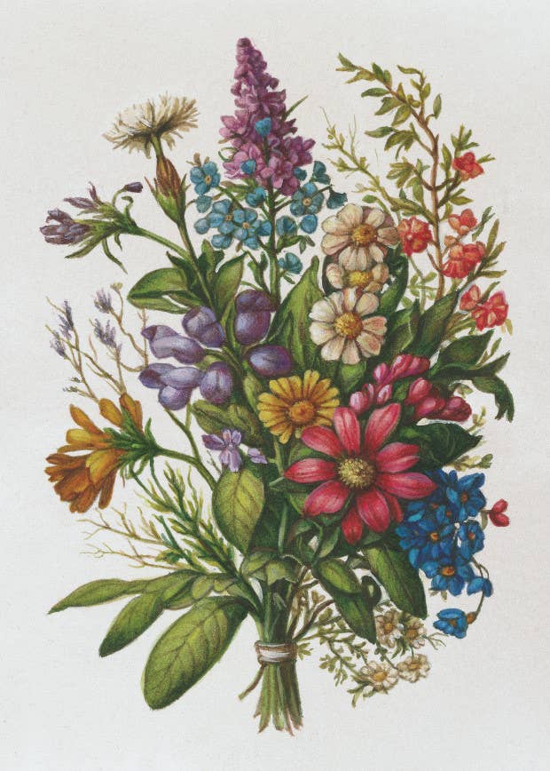 Bomo Art Budapest - Wholesale Everyday Greeting Card - Greeting Card + Envelope95